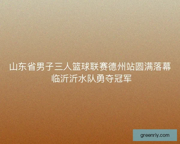山东省男子三人篮球联赛德州站圆满落幕 临沂沂水队勇夺冠军 山东省男子三人篮球联赛德州站圆满落幕 临沂沂水队勇夺冠军