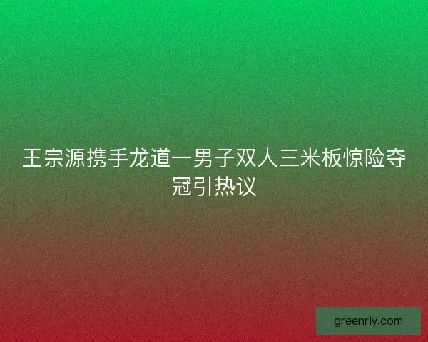 王宗源携手龙道一男子双人三米板惊险夺冠引热议