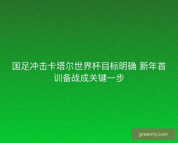 国足冲击卡塔尔世界杯目标明确 新年首训备战成关键一步 国足冲击卡塔尔世界杯目标明确 新年首训备战成关键一步