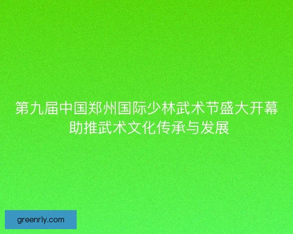 第九届中国郑州国际少林武术节盛大开幕 助推武术文化传承与发展 第九届中国郑州国际少林武术节盛大开幕 助推武术文化传承与发展